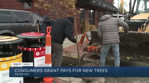 Consumers Energy Grant Program Brings 15 New Trees To Rockford Consumers Energy Grant Program Brings 15 New Trees To Rockford