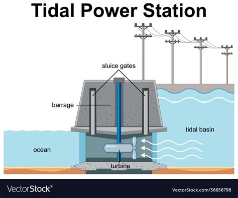 Different Tidal Power Plants Different Tidal Power Plants